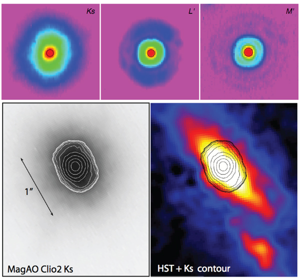 Multiwavelength Observations of NaSt1 (WR 122): Equatorial Mass Loss and X-rays from an Interacting Wolf-Rayet Binary