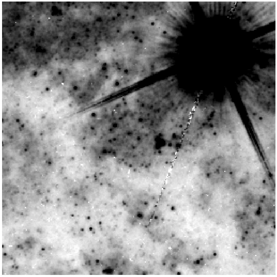 We used MagAO to identify the progenitor star in this pre-explosion image taken by the Hubble Space Telescope.