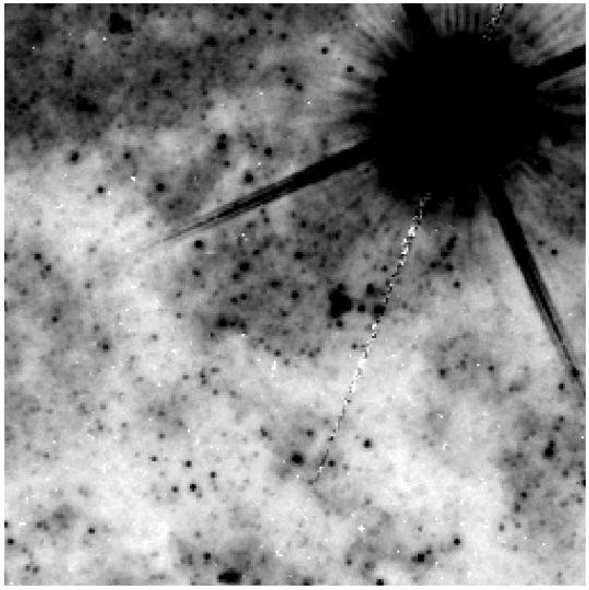 MagAO helped identify the progenitor of SN 2016adj