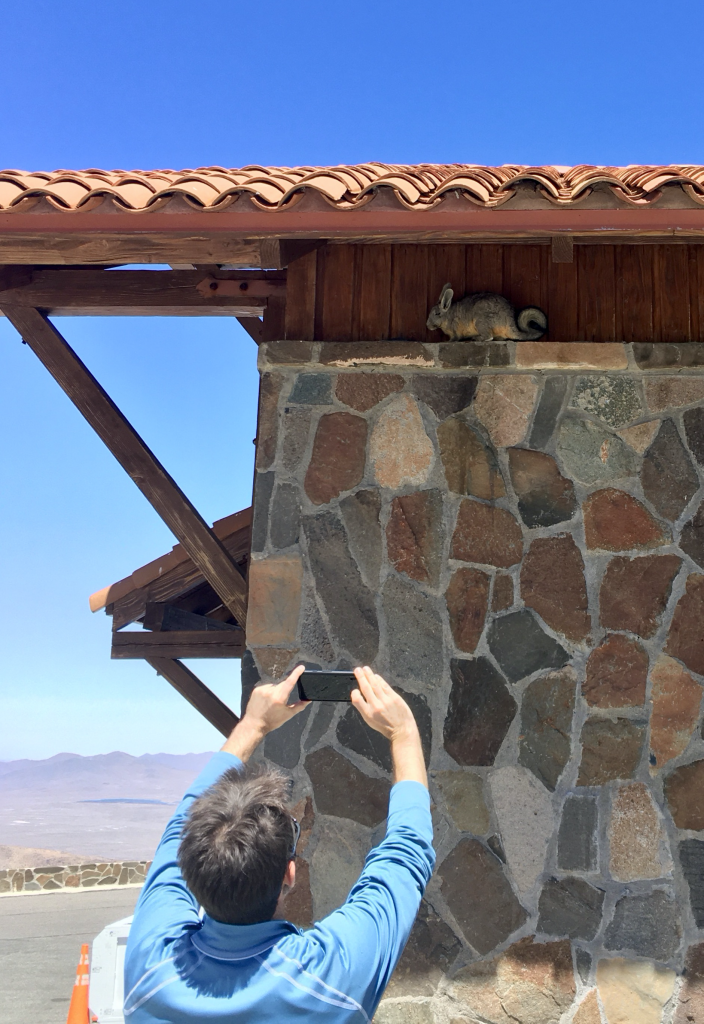 Jared, foreground left, holds up his phone to photograph a viscacha under the cleanroom eaves