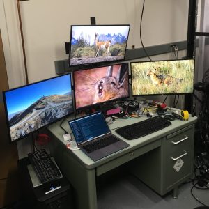 Four monitors are suspended from a mount in an inverted T-shape arrangement at the desk in our lab.