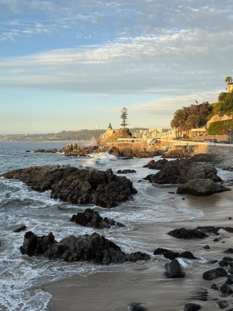 I wonder what that tree is all about