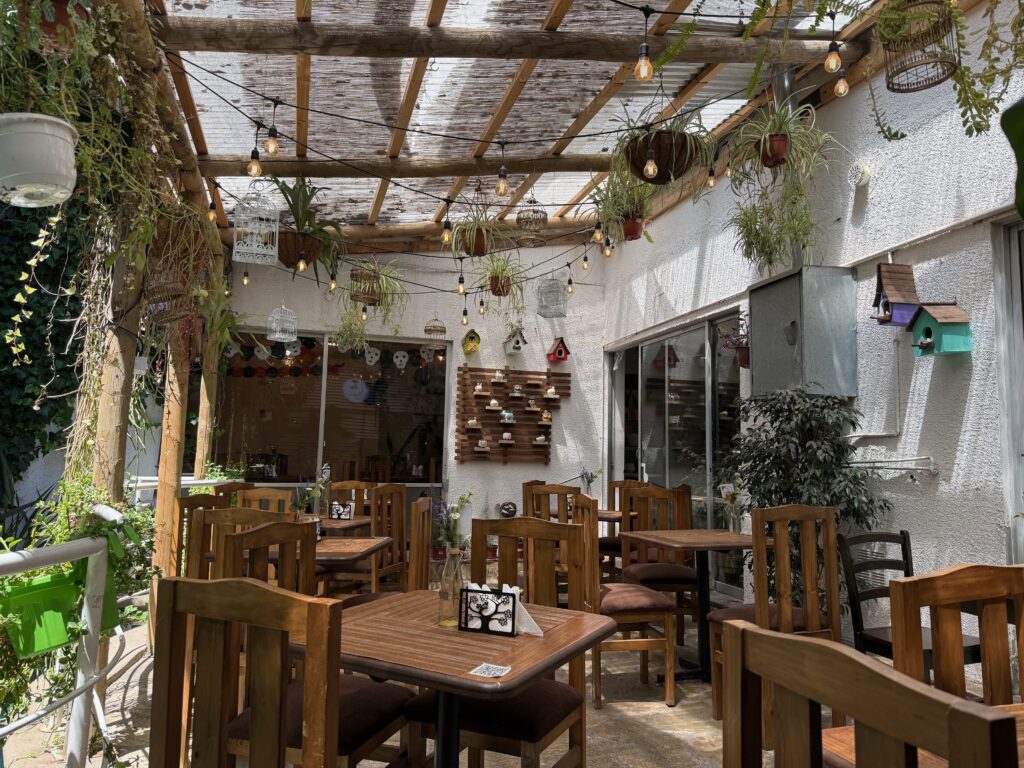 Everythings better with plants