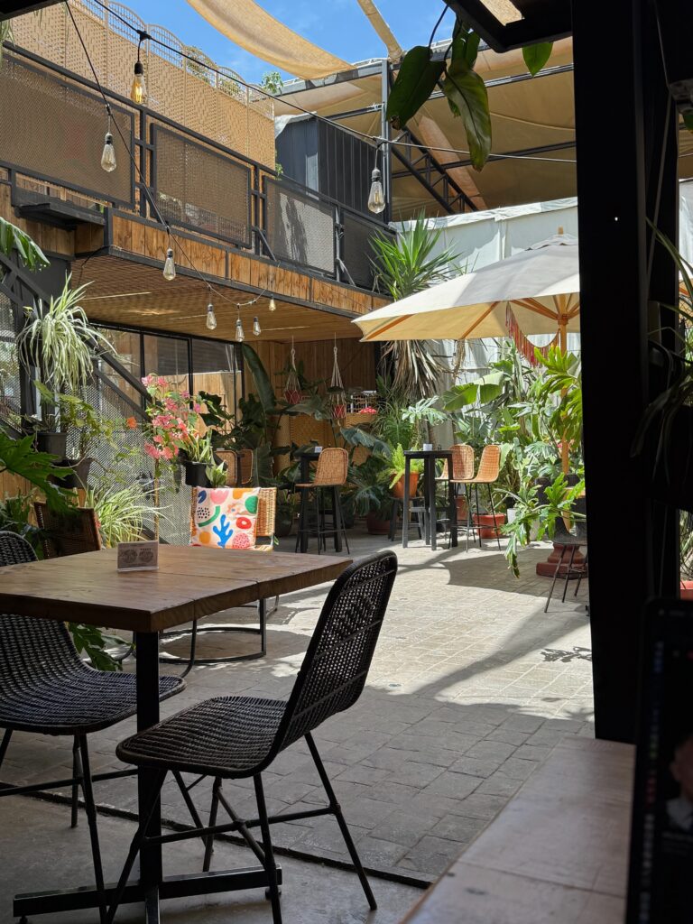 Nothing like a good beer and plants for blogging