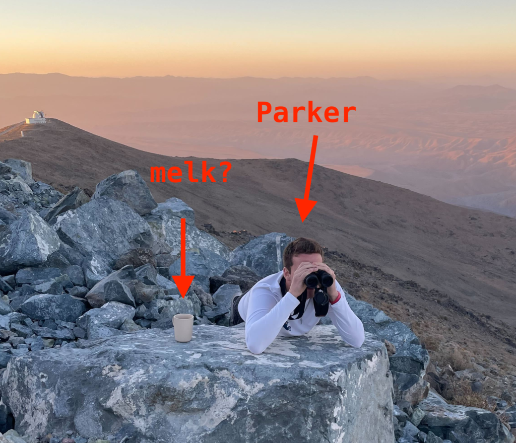 i recommend growing furry camouflage