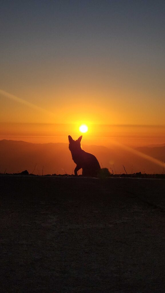Carlos taking in another sunset