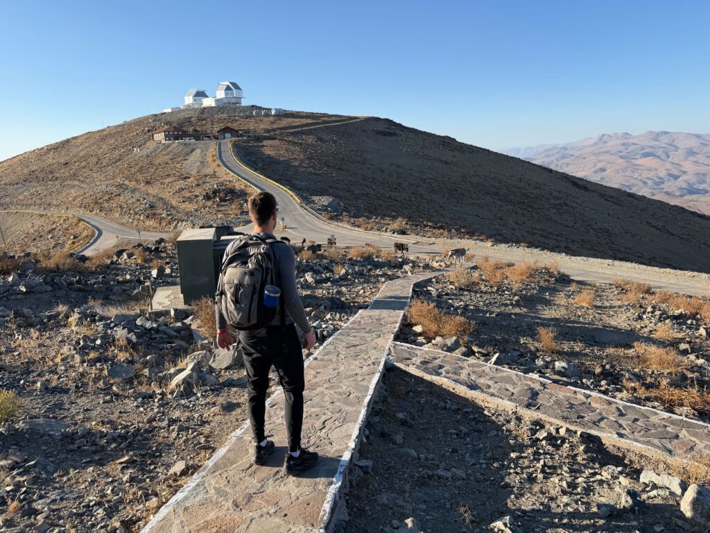 Fight or Flight turned up to 100