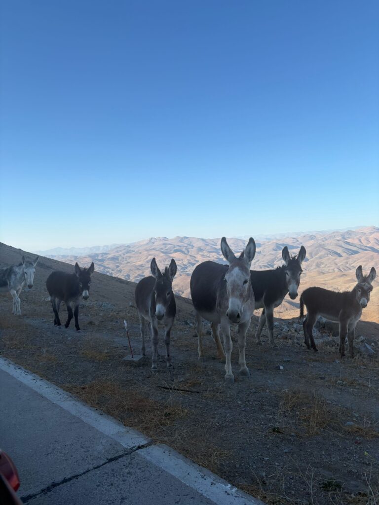 Last thing I see before I wake up from my nightmare